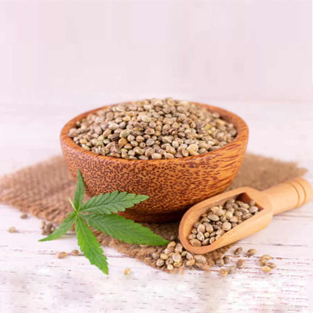 Hemp Seed Oil 100% Pure and Natural for Food Cosmetic and Pharma Grade impeccable quality at best wholesale prices