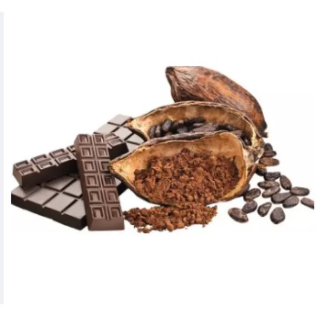 Hot Sael Sun Dried Raw Cocoa Beans / Cocoa Beans Suppliers Manufacturers Wholesalers