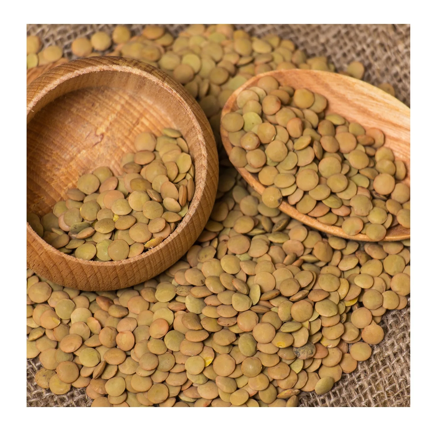 Hot Selling Price Canadian Whole Green Lentils Dry Organic Green Lentils in Bulk