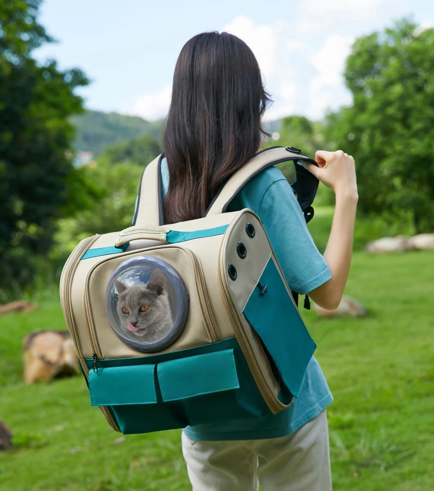 Windobriefsrproof Dog Backpacunderwear Plus Size Lingerieking S-2XL Sustainable Pet Carrier Backpack Zipper Bestopet Transparent