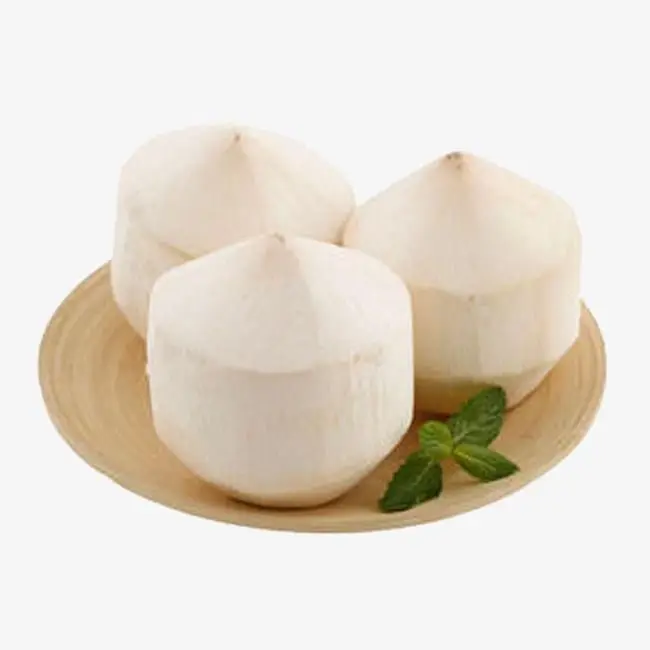 Wholesale coconut- Fresh coconut young - Semi husked coconut with 9pcs / LC- TT payment  from Viet Nam