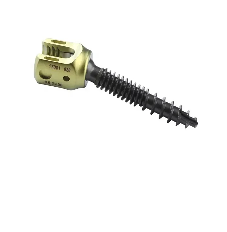 Orthopedic titanium screw Double Head Polyaxial Spine Screw Dual-thread surgical best top quality implants