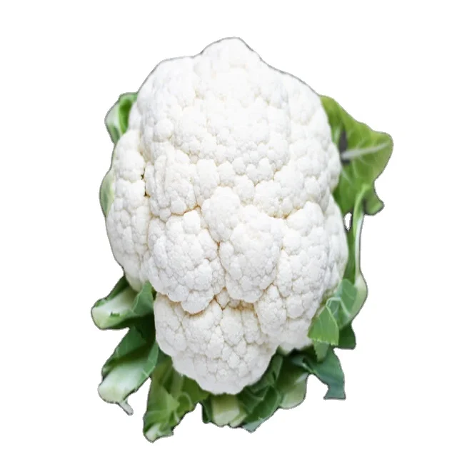 Wholesale Price USA agricultural products white cauliflower weight 500g up high quality goods
