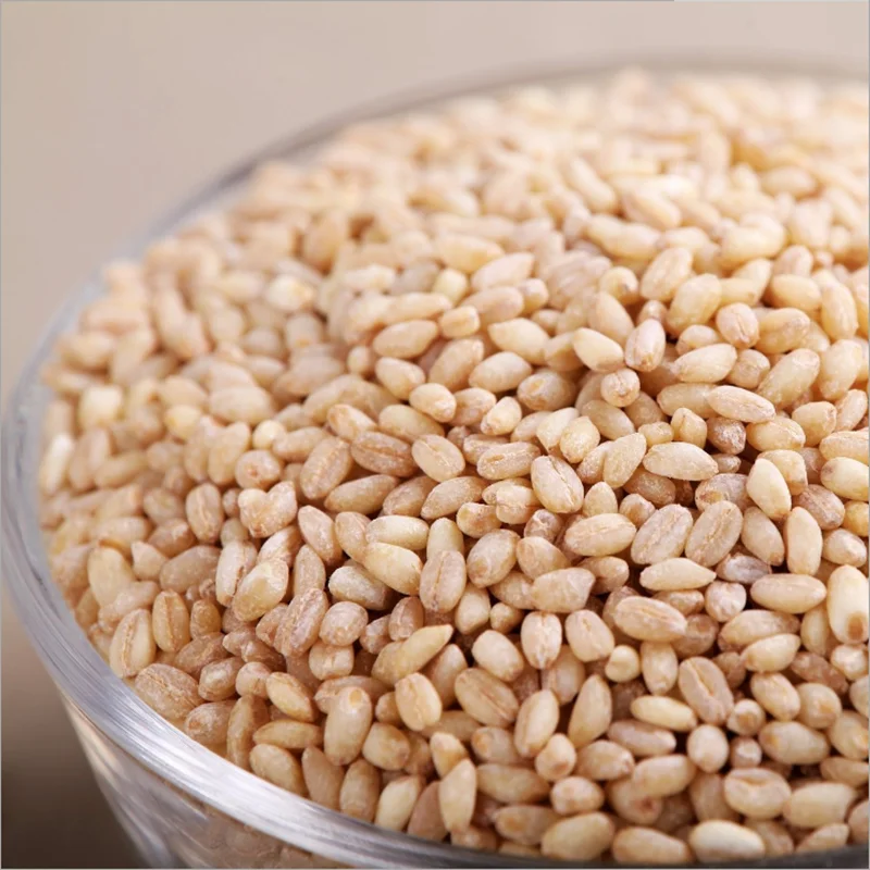 Cheapest Price Supplier Bulk Organic Dried Whole Wheat Grains With Fast Delivery