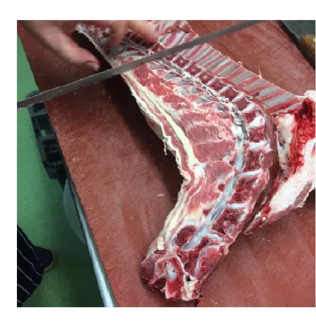 Halal Sheep Fresh Chilled Meat Fresh/chilled Wholesale High Quality Product Halal Certification Food Grade Fresh Frozen Lamb