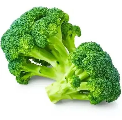 Wholesale Price Clean fresh taro Wholesale Fresh Broccoli Vegetable Origin Germany High Quality Fresh Broccoli