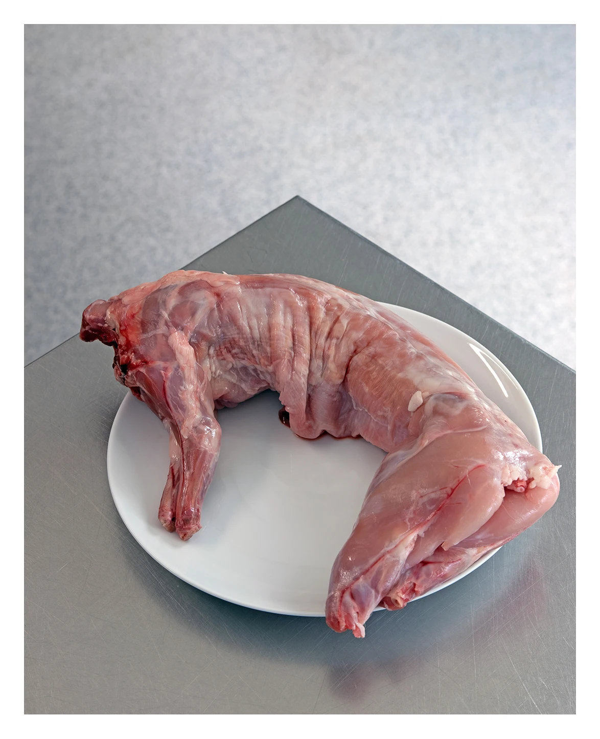 Frozen Whole Rabbit Meat Frozen Rabbit Meat and Part