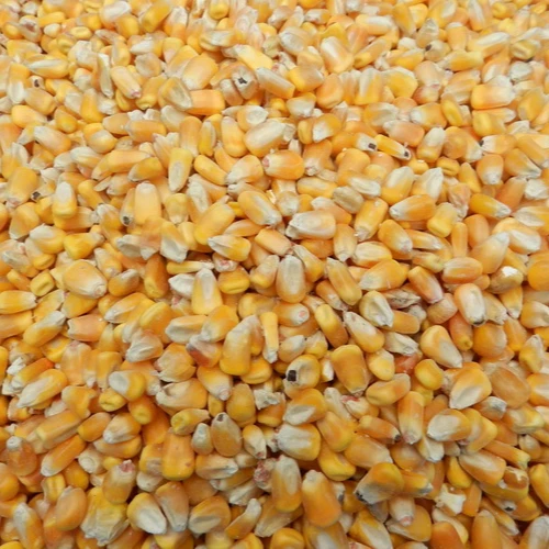 Корм для крупного рогатого скота Желтая Кукуруза/кукуруза корм животных