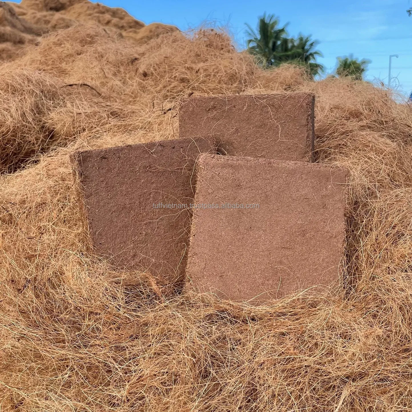 Selling substrates to grow in vase like oak wood tray paper pots ceramic character pot for garden supplies hanging plants greenh