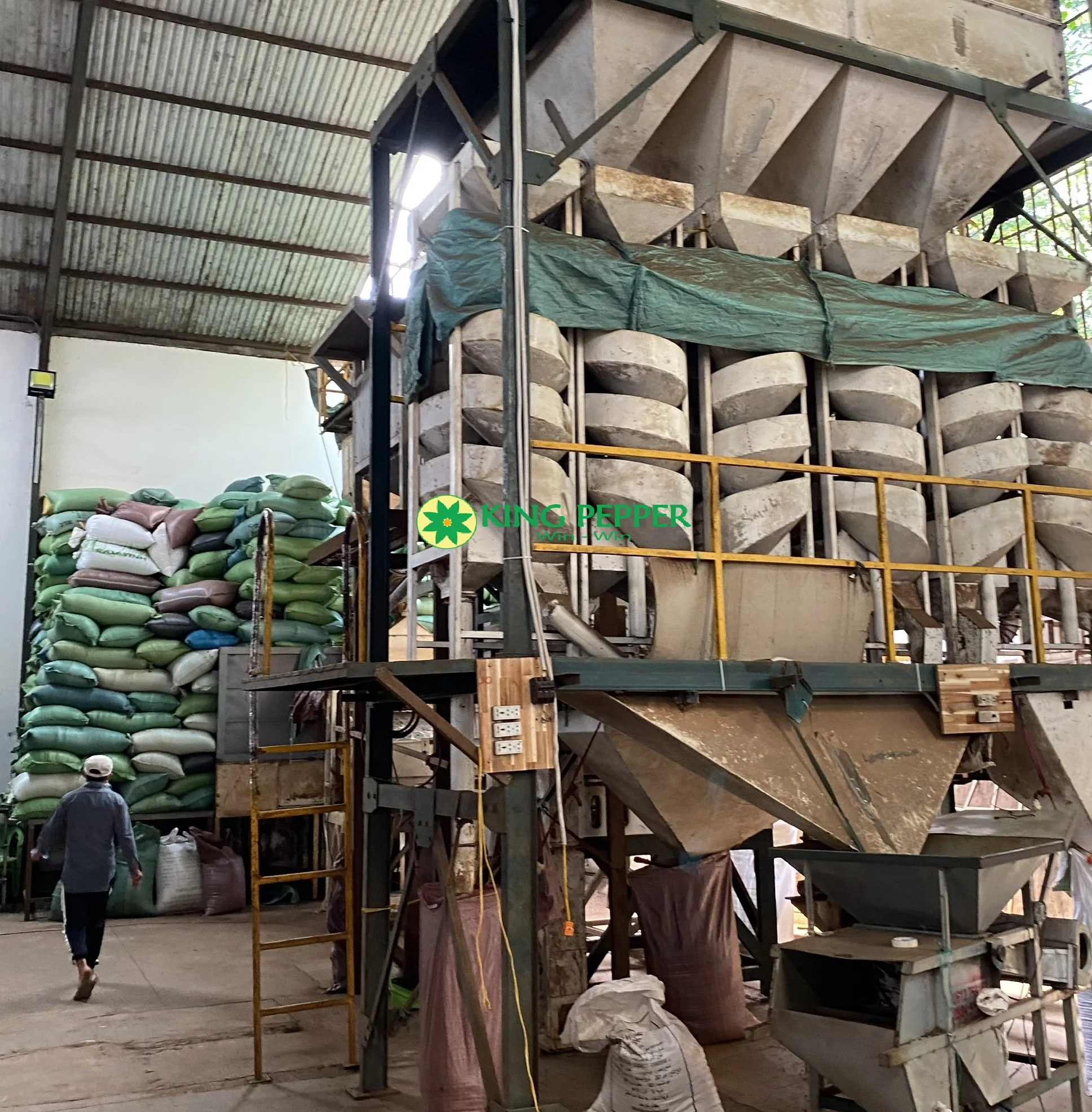 Черный перец самый продаваемый высококачественный Цейлонский черный премиум-класса-цельный от фабрики Phalco Vietnam