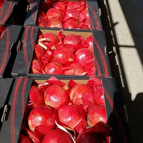 Быстрая доставка воздушным грузом/сладко-кислый гранат оптом экспорт из Польши