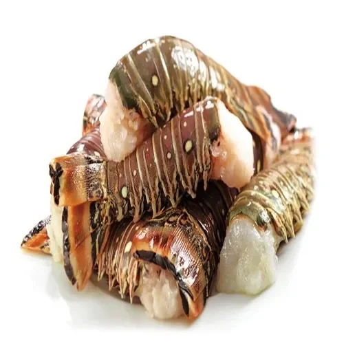 Seafood Fresh and Frozen Lobster, Frozen Lobster, Frozen Lobster Tails Fresh Lobsters For Sell
