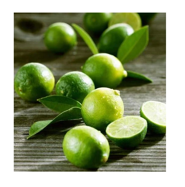Best Selling 2023 New Crop Green Fresh Seedless Lime Made in Vietnam with Good Price Good Promotion Seedless Lime/Lemon