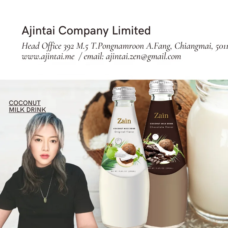 Zain Ajintai ZEN Chocolate Coco Beverage Drinks Fruit Jiuce Grain Snacks  Herbal Plant Extract From Fruit Nutritious Food Trend