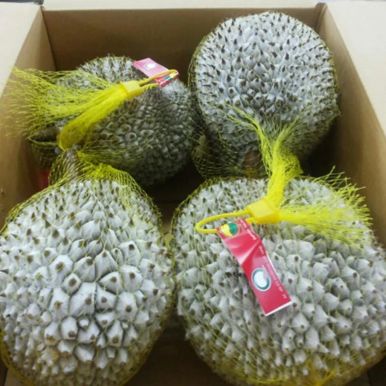 VIETNAM EXPORTER FROZEN DURIAN - RI6 - MONTHONG - PREMIUM QUALITY