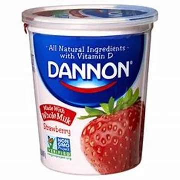 High Quality Dannon Yogurt Variety Flavors including Chocolate Babies Children Liquid Solid Forms Box Competitive Prices Buk
