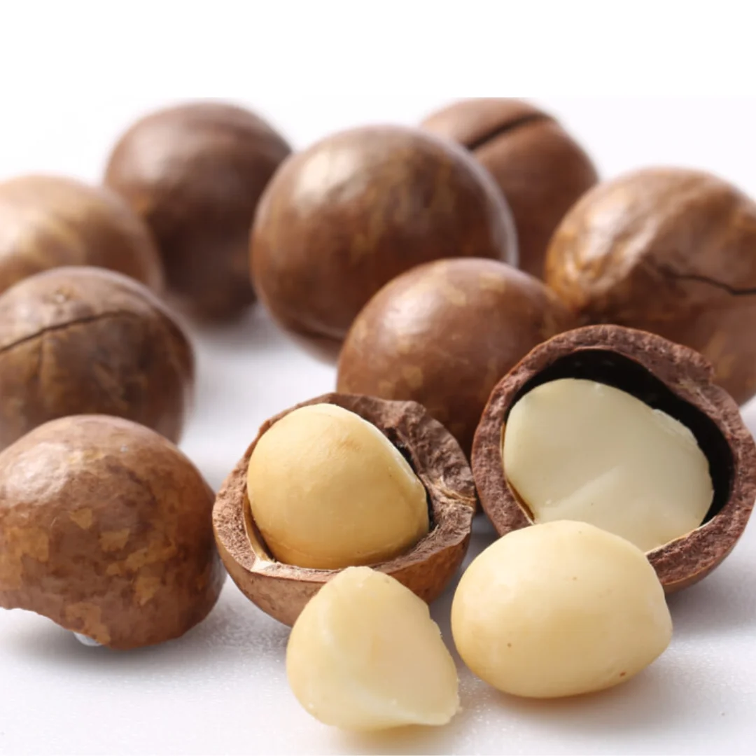 Top Grade Roasted Macadamia Nuts Good Quality Salted in Shell Whole 22-25 mm Origin