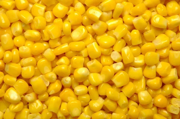 Indian Manufacturer Of Best And Premium Quality Natural Yellow Corn Maize For Animal Feed Indian At Reasonable Price