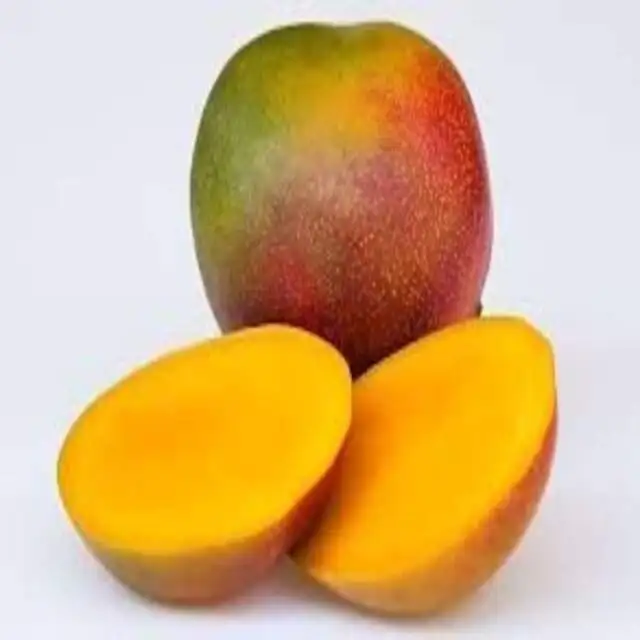 Top Mango Fruit Wholesalers in Egypt