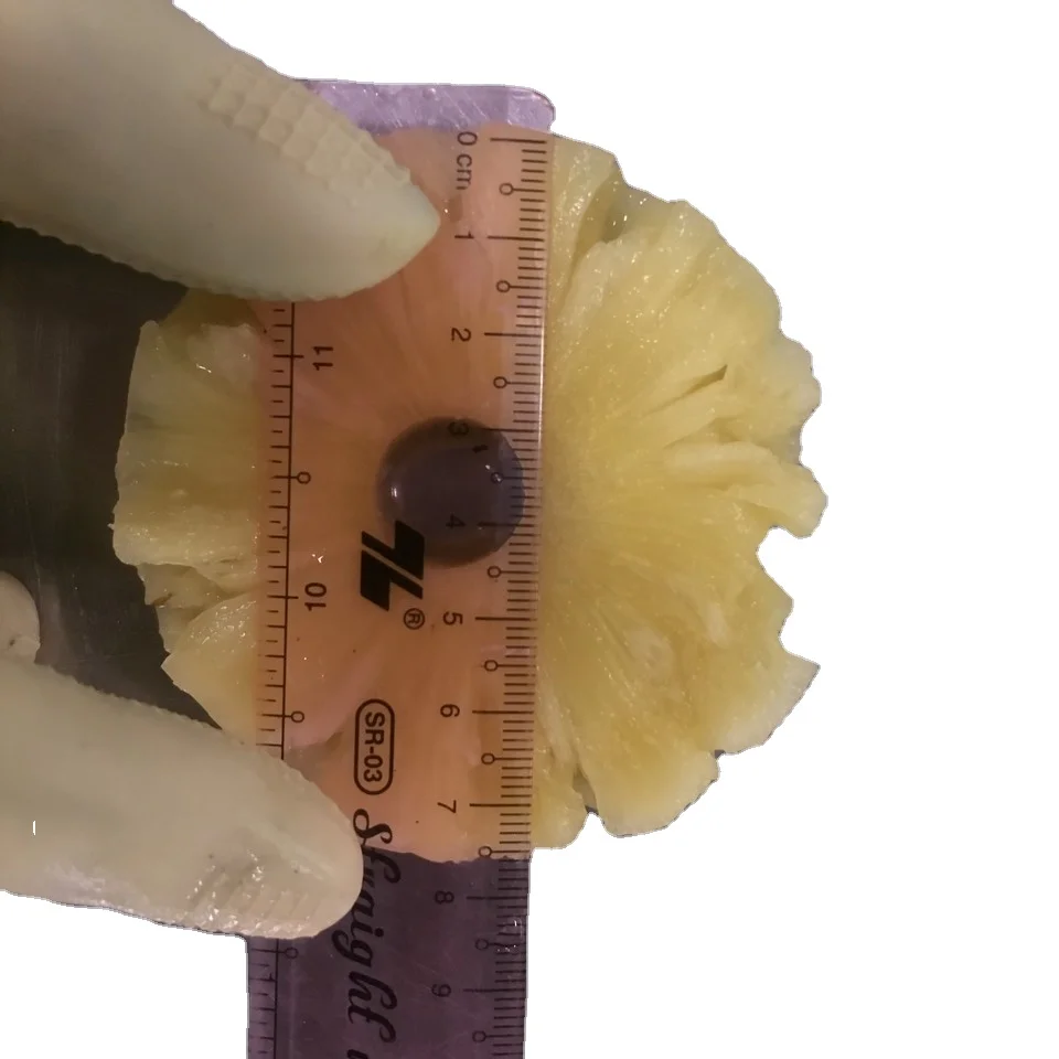 Ананас Премиум тропические кусочки консервированные ананасы фруктовые ломтики по лучшей цене Akina