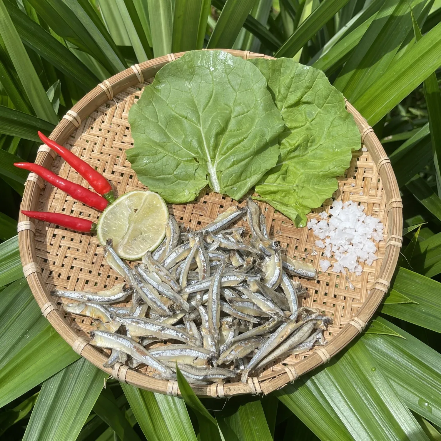 Frozen Storage Non-Nicotine Ho Nam Dried Anchovies L2 (5-7cm) For Making Soup 24 Months Shelf Life Origin From Vietnam