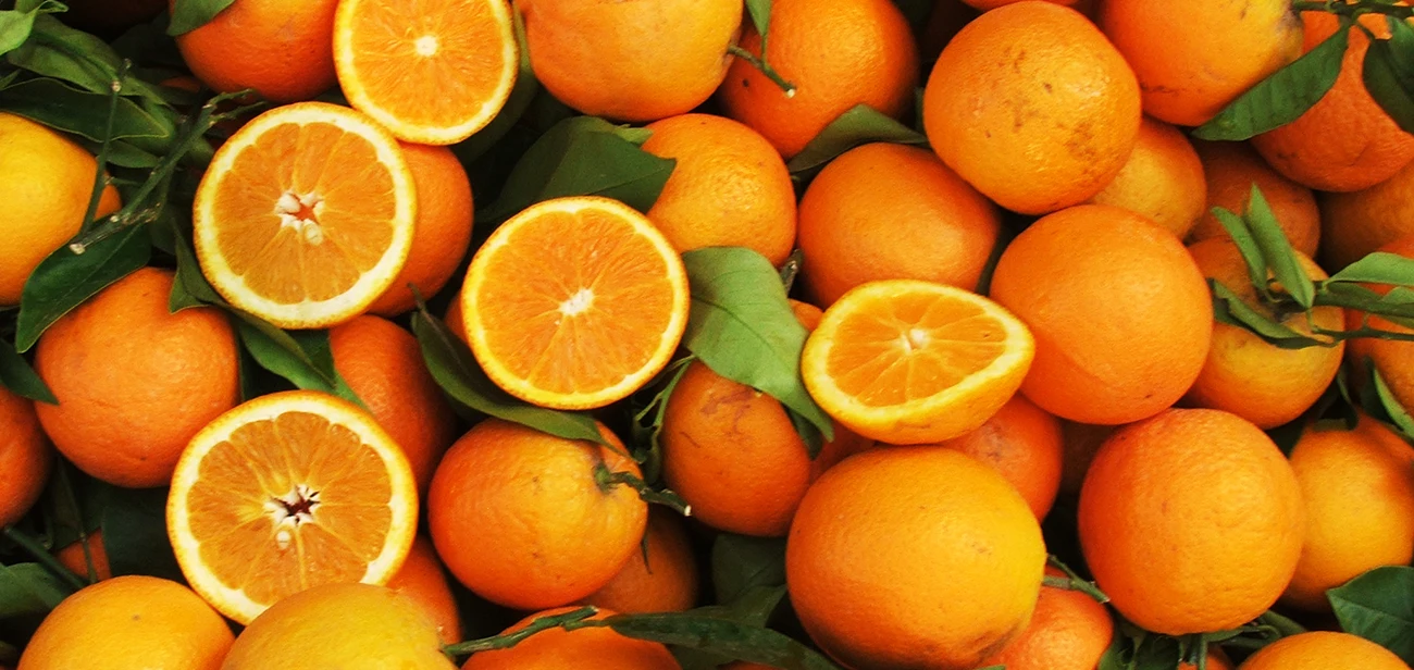Organic Fresh Orange best quality!!! Factory prices!!!