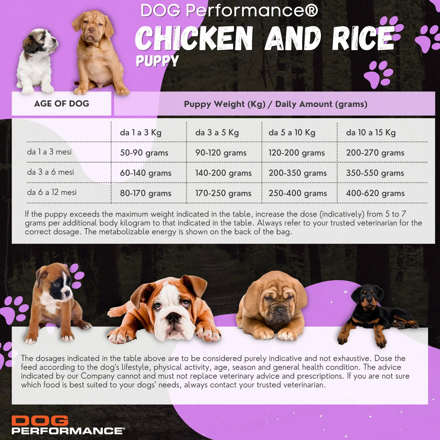 High Quality 3kg Chicken and Rice Dry Food Healthy Compact Puppy Meal for Medium and Large Breeds for Fish and Cats