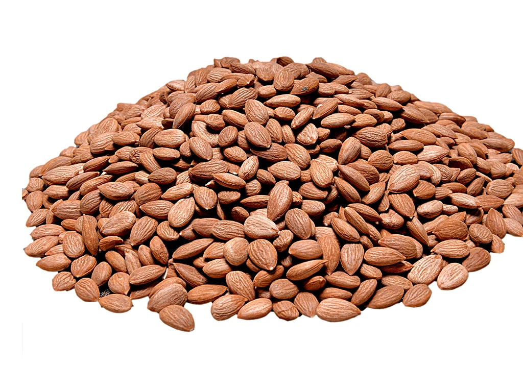 dried apricot, apricot kernels, bitter and sweet apricot kernel