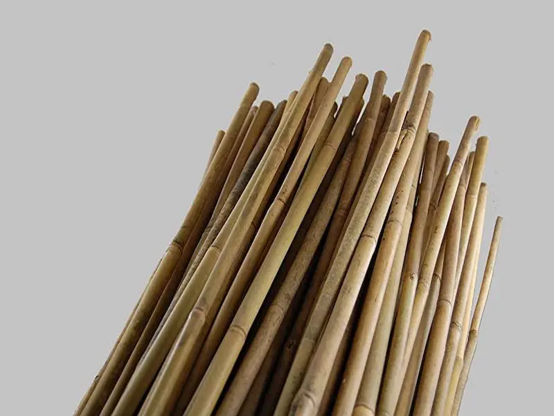 bamboo sticks11.jpeg