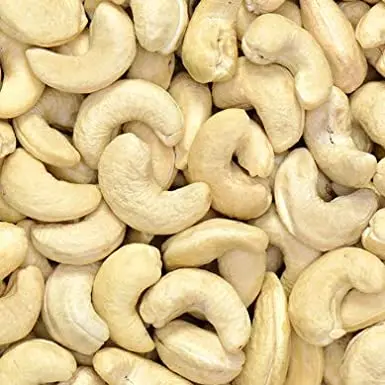 cashew nut1.jpg