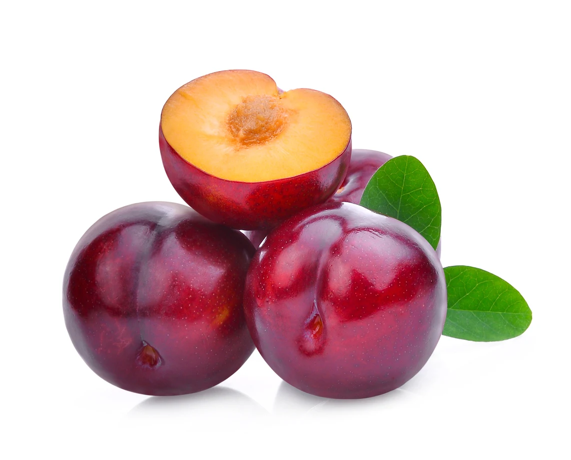 PREMIUM QUALITY 100% FRESH NATURAL PLUM RED SHELL PRODUCED IN VIETNAM COMPETITIVE PRICE