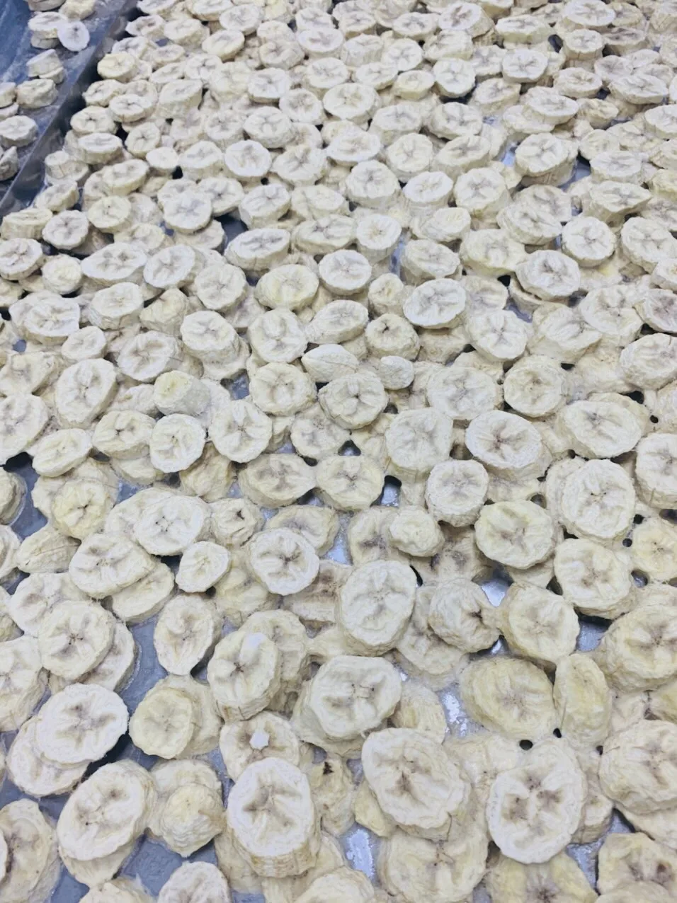 Лучший питательный продукт заводская цена замораживаемые натуральные тропические фрукты оптовая продажа вакуумные 100%