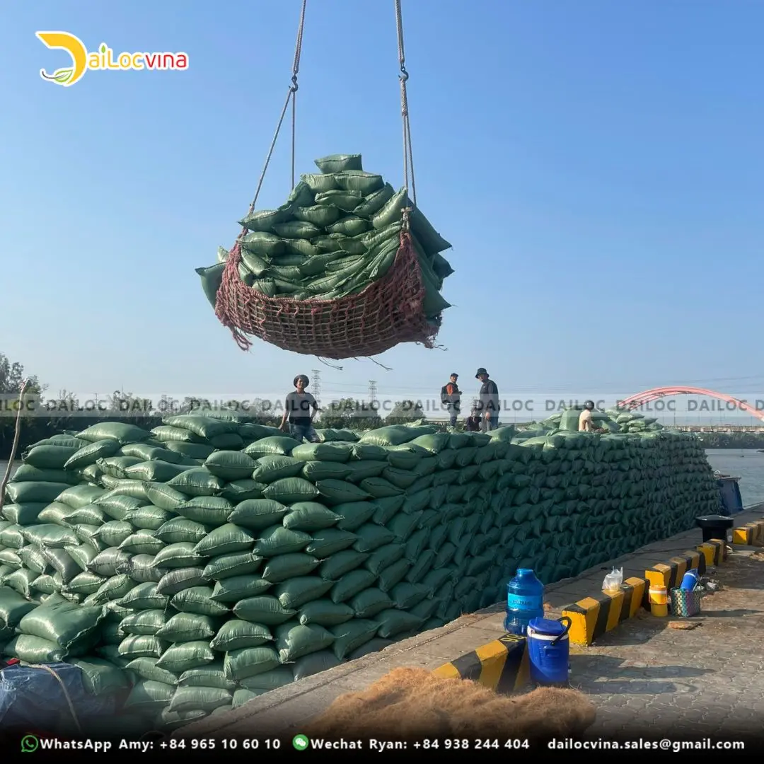 HIGH QUALITY ROUND COCO COIR PEAT FOR PLANTING GARDENING MODERN POTTING SOIL SUBSTRATE OFFICE SPACE MADE COCO FIBER