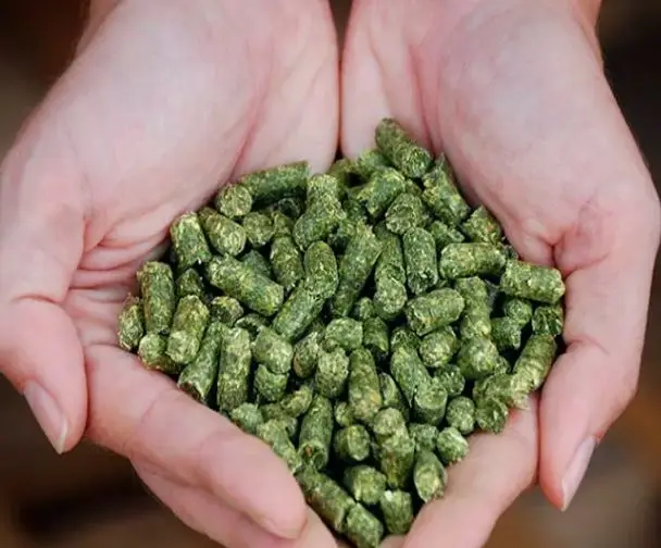Pure Natural Alfalfa Hay and Pellets for Animal Feed