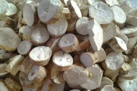 Vietnamese Tapioca Chip For Feeding Animal Cassava Chips for Making Animal Food Dried Tapioca / Cassava Chip For Sale