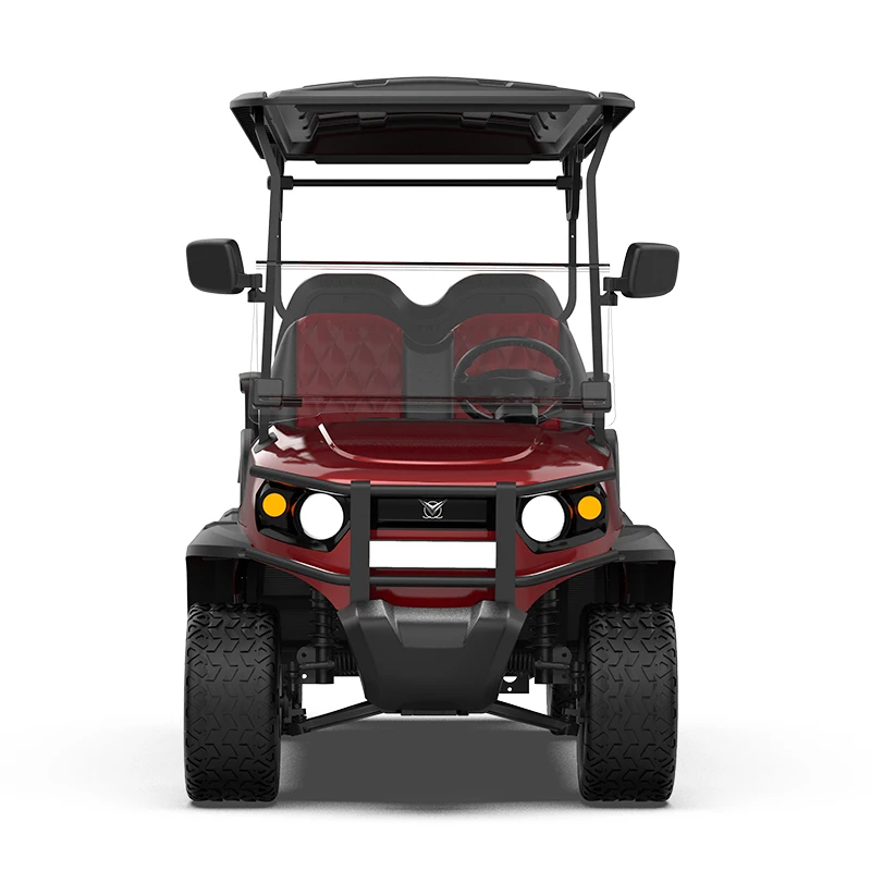 New USA Custom Private Mold ODM Service for Exclusive Brand Agent 2 4 6 Passenger Golf Carts