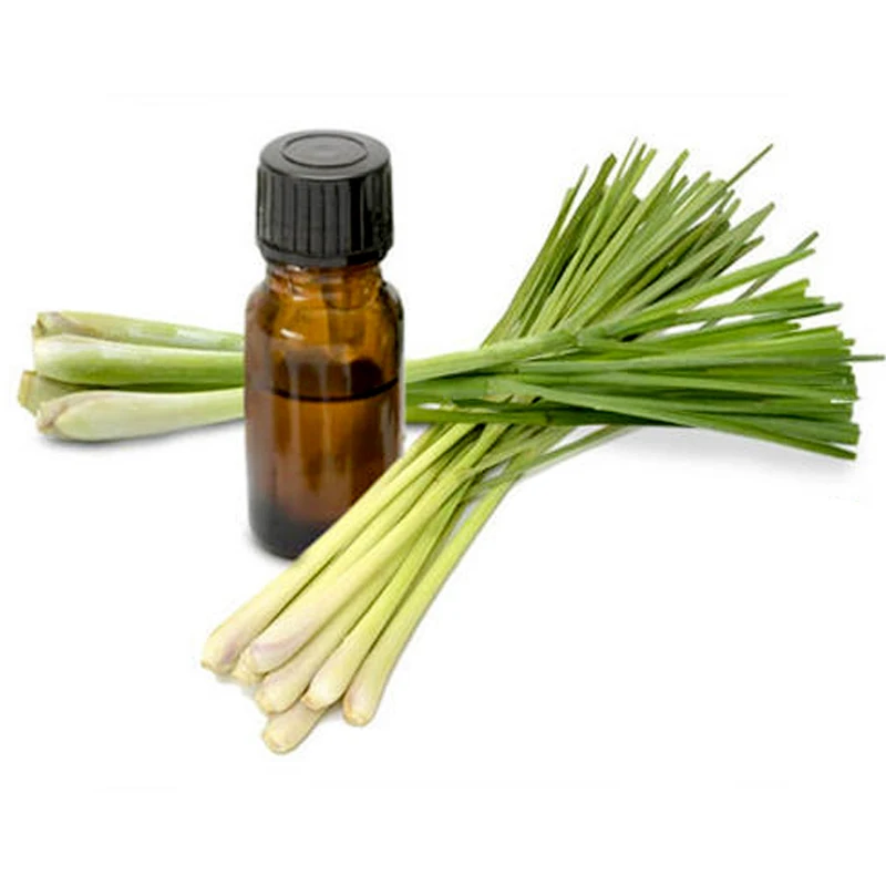 Factory Supply Natural Lemongrass Essential Oil for Aromatherapy Diffuser Cosmetic Additive and Candle Making