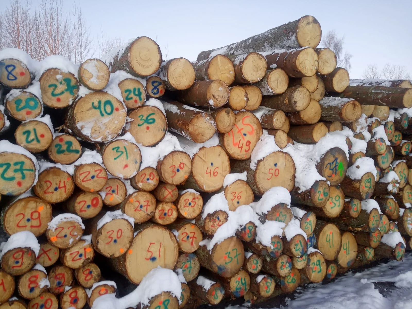 Bulk quantity Timber Best Craftsmanship Redefined High-Quality Spruce Lumber Wholesale Opportunities