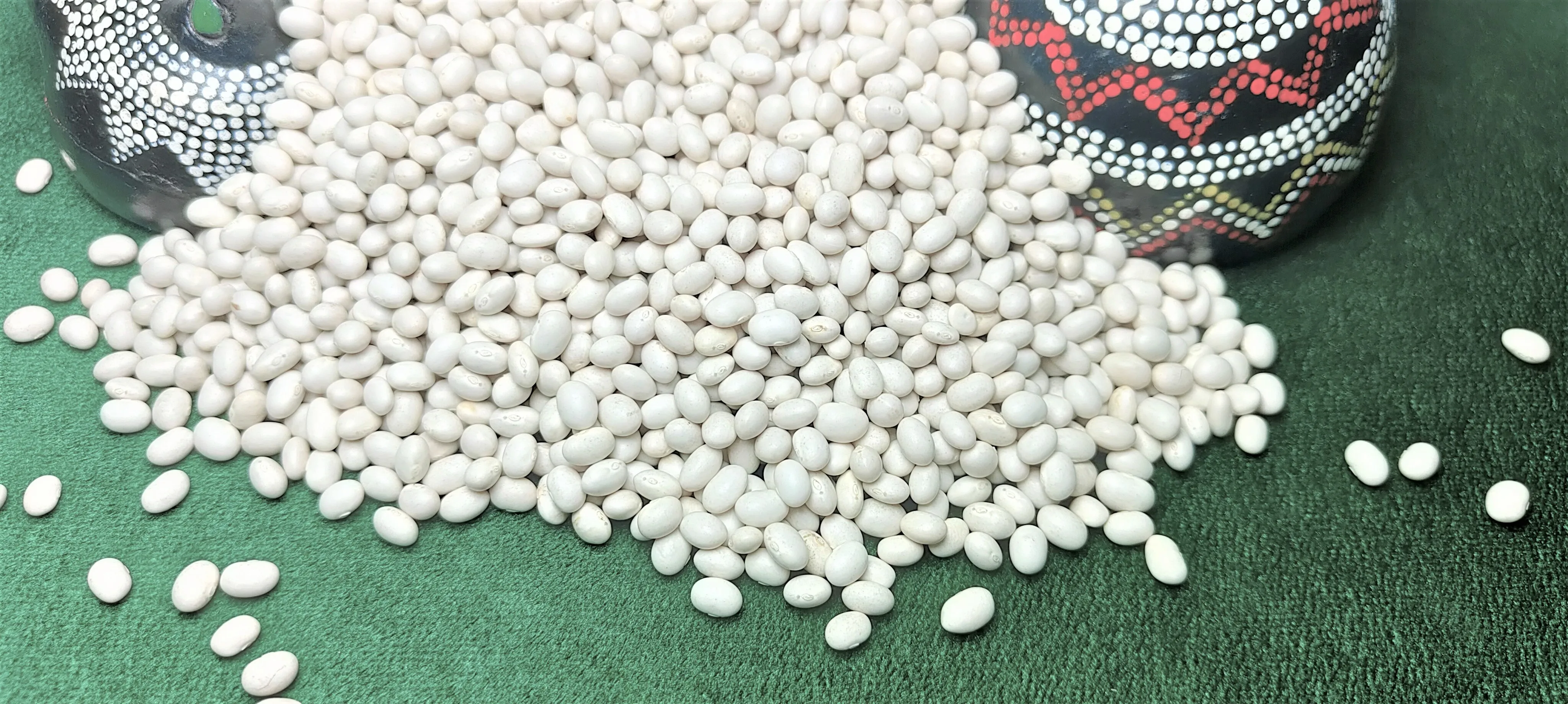 Top Grade Ethiopian White Pea Beans, 2024 Harvest, 420-450PCS, Machine Cleaned & Polished Wholesale Bulk Dried