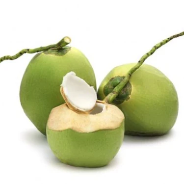 Высококачественный вьетнамский Свежий Кокосовый 100% натуральный Лучшая цена на рынке WA + 84363947427