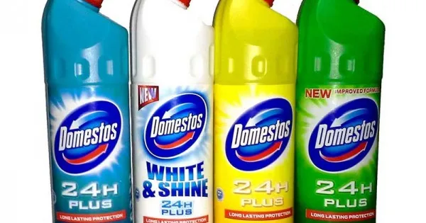 Domestos 750ml Pine