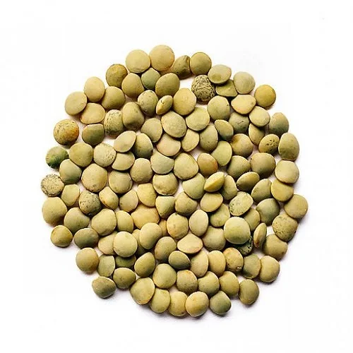 Novelty Green Lentils Dried Red Wholesale Bulk Packaging Food Use Less Than 3.5% Grain Impurities Worldwide
