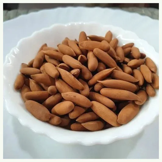 Bulk Organic Pine Nuts at Wholesale Prices High Quality Low Price Organic Pine Nuts for Sale Good Price