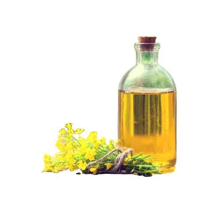 Certified Organic 100 % Pure Refined Rapeseed Oil High Quality Pure Refined and Crude Rapeseed / Canola Oil Pure Refined