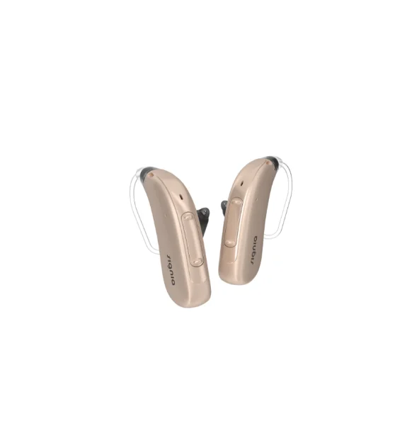 Hearing Aid Bte Rechargeable Mini Hearing Aid Bte Wireless Products Digital Part Deaf Rechargeable Manufacturer bte Hearing Aid