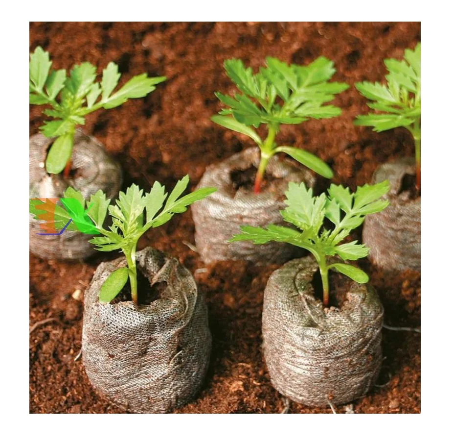 Sustainable Coconut Fiber Pellet/ Coconut Peat To Grow Netted Seed Starting Pellets Coconut Tablets From Vietnam
