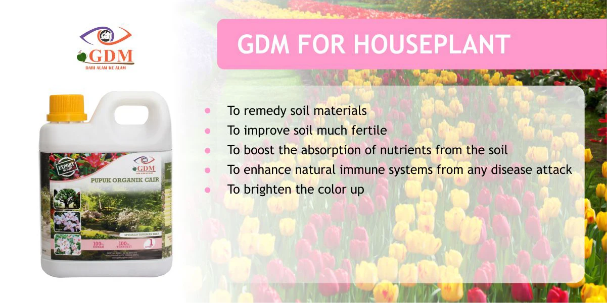 100% Best Liquid Organic Fertilizer for Ornamental Plant in the Asian market l Best Product Fertilizer