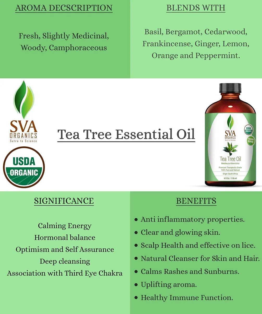 Bulk Wholesale Organic Tea Tree Pure Natural Essential Oil for Skin Care and Aromatherapy Indian manufacturer Cold Pressed Oil