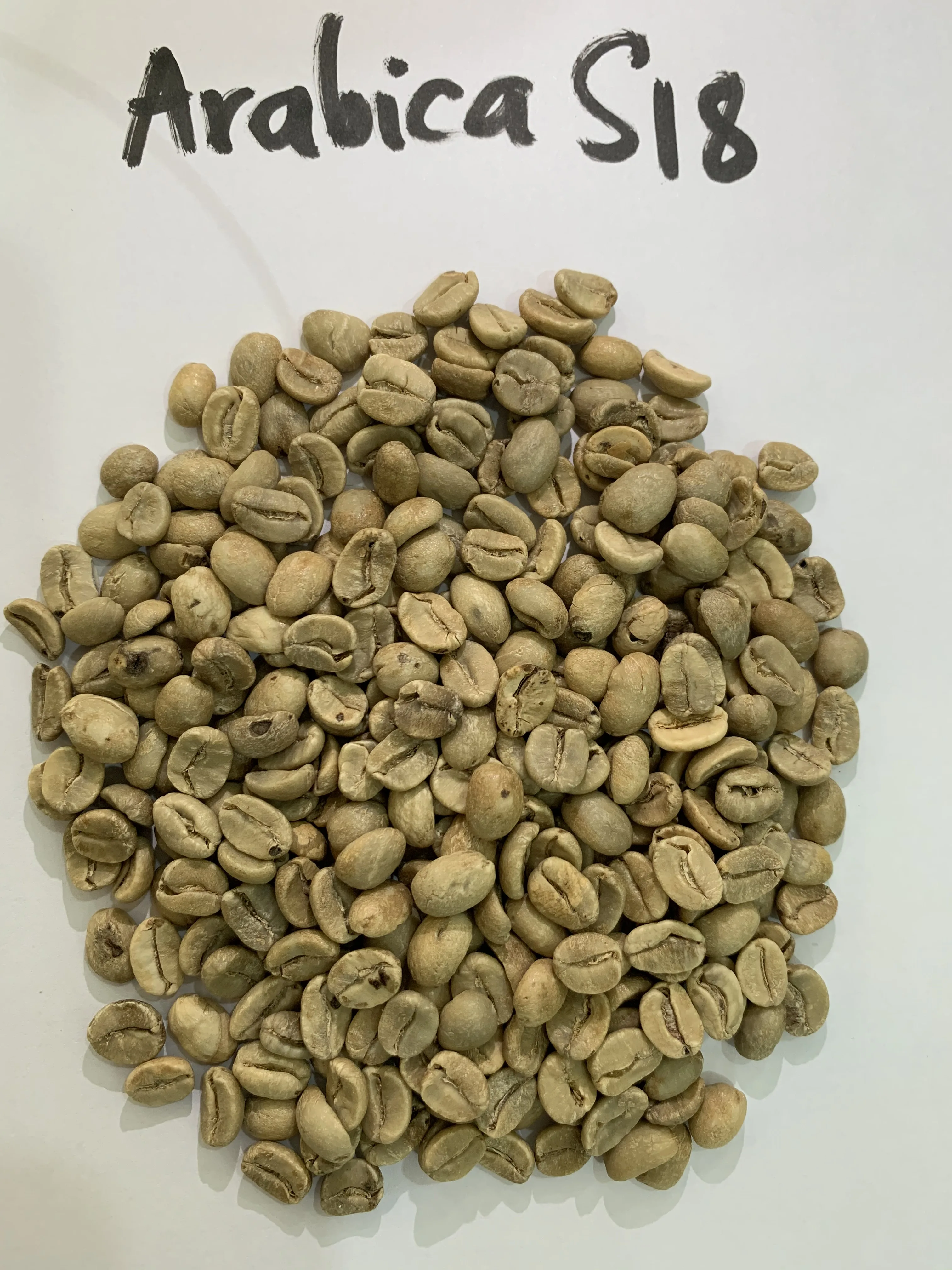 Вьетнамские высококачественные зеленые кофейные зерна Robusta от надежной фабрики 0084339966582