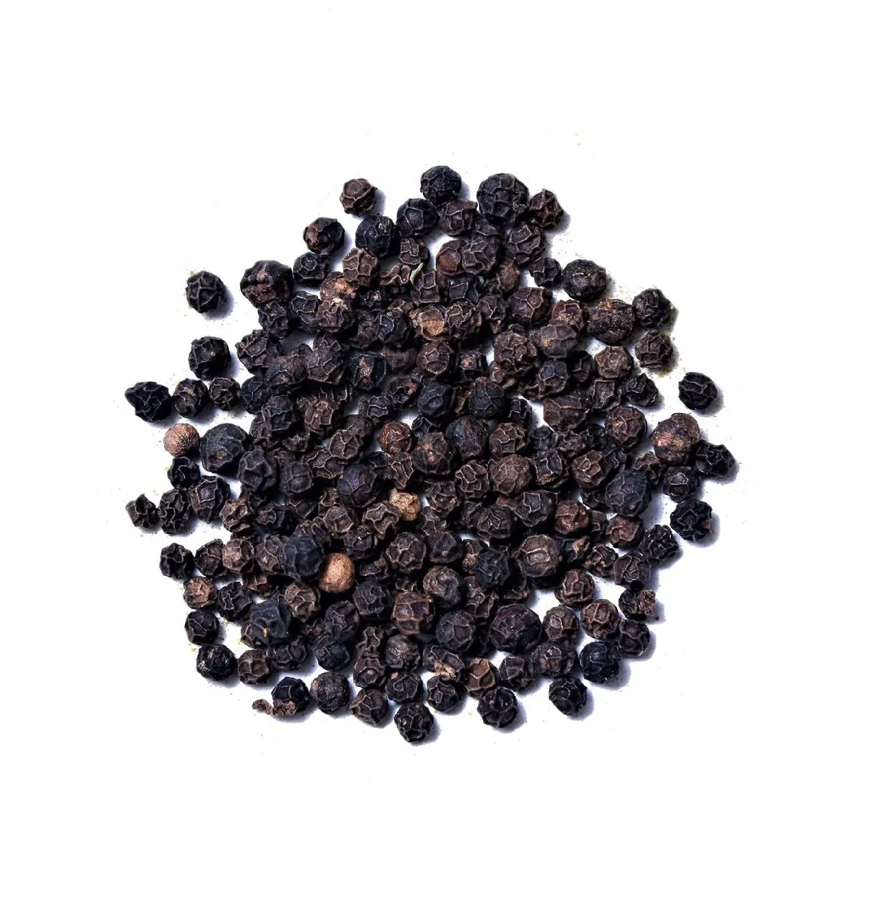 Hot Spicy Black Pepper/White pepper bean origin from Vietnam Black Pepper bean  550g/L ASTA